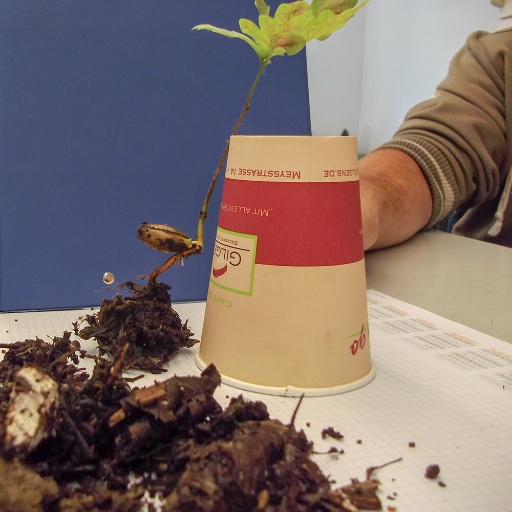 Foto: Praxistag Berufsorientierung / Zögling